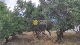 Οικόπεδο 3.900 τ.μ. πρός πώληση, Ν. Ηρακλείου, Ηράκλειο Κρήτης-thumb-9