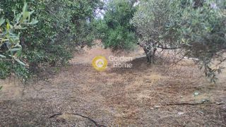 Οικόπεδο 3.900 τ.μ. πρός πώληση, Ν. Ηρακλείου, Ηράκλειο Κρήτης-thumb-8