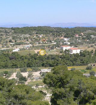 Αγροτεμάχια 2.000τ.μ. για πώληση-Αίγινα » Μεσαγρός