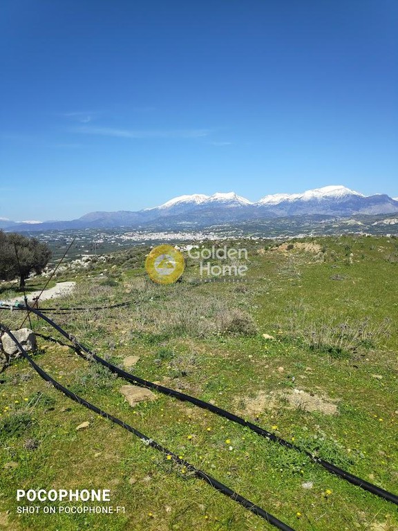Οικόπεδο 12.000 τ.μ. προς πώληση, Πέριο