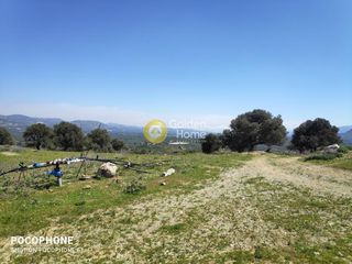 Οικόπεδο 12.000 τ.μ. για πώληση, Ν. Ηρακλείου, Μοίρες-thumb-27