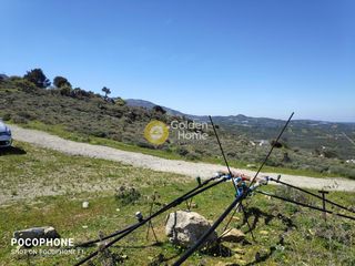 Οικόπεδο 12.000 τ.μ. για πώληση, Ν. Ηρακλείου, Μοίρες-thumb-15