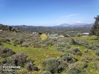 Οικόπεδο 12.000 τ.μ. για πώληση, Ν. Ηρακλείου, Μοίρες-thumb-19