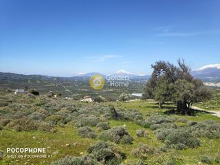 Οικόπεδο 12.000 τ.μ. για πώληση, Ν. Ηρακλείου, Μοίρες-thumb-20