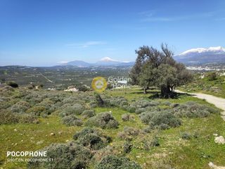 Οικόπεδο 12.000 τ.μ. για πώληση, Ν. Ηρακλείου, Μοίρες-thumb-17