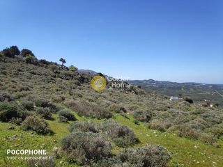 Οικόπεδο 12.000 τ.μ. για πώληση, Ν. Ηρακλείου, Μοίρες-thumb-23