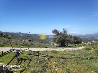 Οικόπεδο 12.000 τ.μ. για πώληση, Ν. Ηρακλείου, Μοίρες-thumb-9