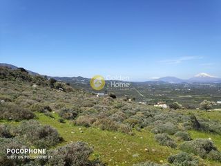 Οικόπεδο 12.000 τ.μ. για πώληση, Ν. Ηρακλείου, Μοίρες-thumb-21