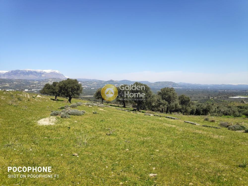 Οικόπεδο 12.000 τ.μ. προς πώληση, Πέριο