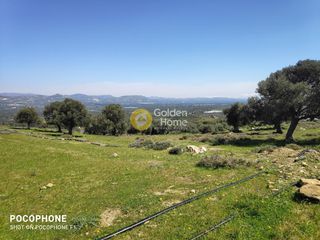 Οικόπεδο 12.000 τ.μ. για πώληση, Ν. Ηρακλείου, Μοίρες-thumb-3