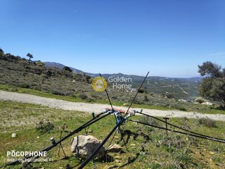Οικόπεδο 12.000 τ.μ. για πώληση, Ν. Ηρακλείου, Μοίρες-thumb-16