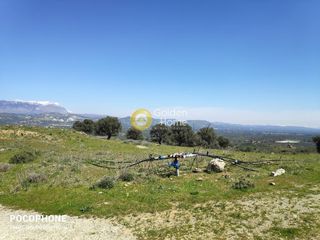 Οικόπεδο 12.000 τ.μ. για πώληση, Ν. Ηρακλείου, Μοίρες-thumb-26