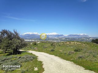 Οικόπεδο 12.000 τ.μ. για πώληση, Ν. Ηρακλείου, Μοίρες-thumb-24