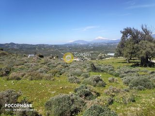 Οικόπεδο 12.000 τ.μ. για πώληση, Ν. Ηρακλείου, Μοίρες-thumb-18