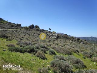 Οικόπεδο 12.000 τ.μ. για πώληση, Ν. Ηρακλείου, Μοίρες-thumb-22