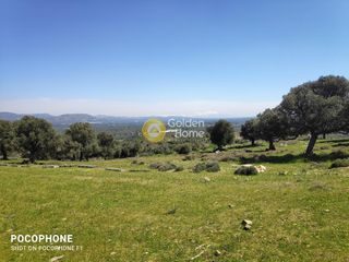 Οικόπεδο 12.000 τ.μ. για πώληση, Ν. Ηρακλείου, Μοίρες-thumb-4