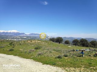 Οικόπεδο 12.000 τ.μ. για πώληση, Ν. Ηρακλείου, Μοίρες-thumb-25