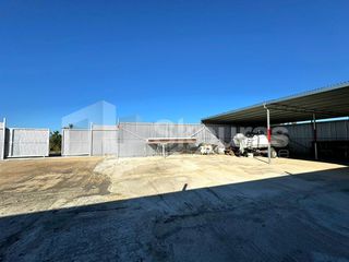Αγροτεμάχια 8.000 τ.μ. για ενοικίαση, Μεσσηνία, Καλαμάτα-thumb-5