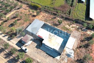 Αγροτεμάχια 8.000 τ.μ. για ενοικίαση, Μεσσηνία, Καλαμάτα-thumb-29