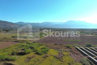 Αγροτεμάχια 8.000 τ.μ. για ενοικίαση, Μεσσηνία, Καλαμάτα-thumb-18