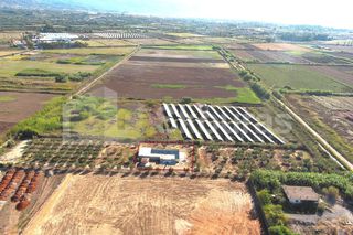 Αγροτεμάχια 8.000 τ.μ. για ενοικίαση, Μεσσηνία, Καλαμάτα-thumb-27