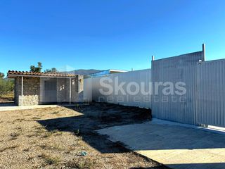 Αγροτεμάχια 8.000 τ.μ. για ενοικίαση, Μεσσηνία, Καλαμάτα-thumb-14