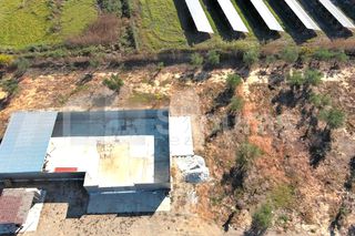 Αγροτεμάχια 8.000 τ.μ. για ενοικίαση, Μεσσηνία, Καλαμάτα-thumb-28