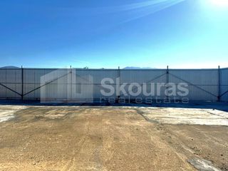 Αγροτεμάχια 8.000 τ.μ. για ενοικίαση, Μεσσηνία, Καλαμάτα-thumb-12