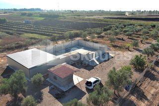 Αγροτεμάχια 8.000 τ.μ. για ενοικίαση, Μεσσηνία, Καλαμάτα-thumb-17