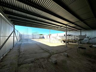 Αγροτεμάχια 8.000 τ.μ. για ενοικίαση, Μεσσηνία, Καλαμάτα-thumb-9