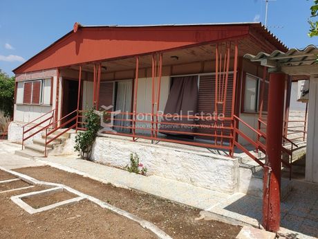 Μονοκατοικία 125τ.μ. για πώληση-Σαλαμίνα » Βασιλικά