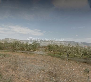 Αγροτεμάχια 7.240τ.μ. για πώληση-Μέγαρα » Πάχη