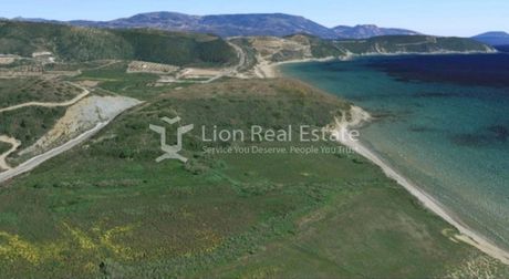 Οικόπεδο 18.000τ.μ. για πώληση-Μεθώνη