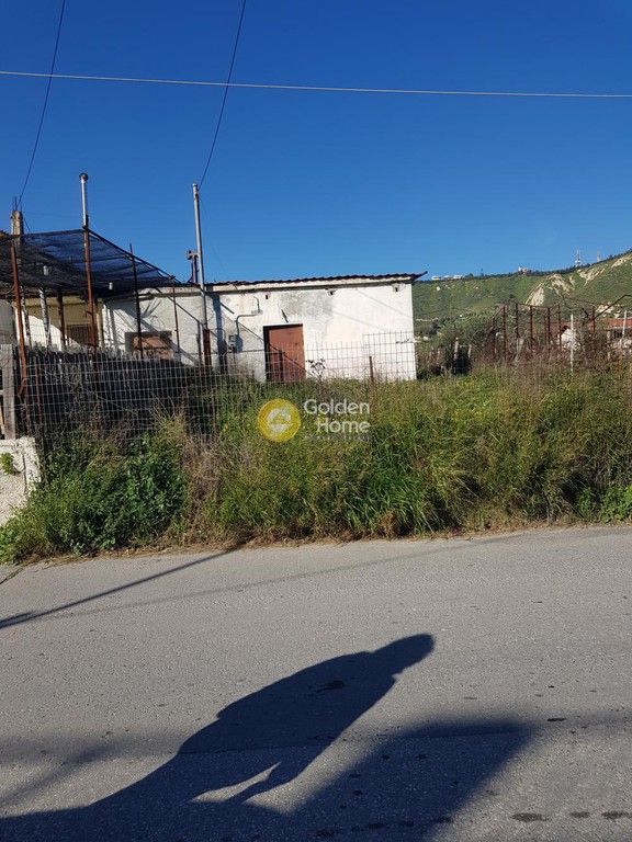 Αγροτεμάχια 1.167 τ.μ. προς πώληση, Φοινικιά
