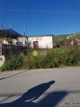 Αγροτεμάχια 1.167τ.μ. για πώληση-Ηράκλειο κρήτης » Φοινικιά