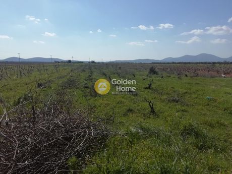 Αγροτεμάχια 3.500τ.μ. για πώληση-Παιανία » Κέντρο