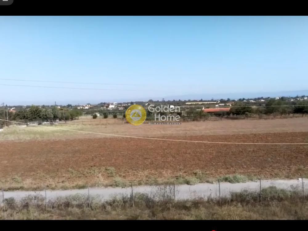 Αγροτεμάχια 7.000 τ.μ. προς πώληση, Νέα Μηχανιώνα