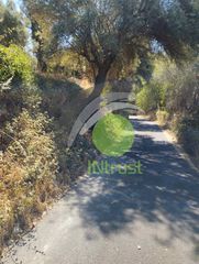 Οικόπεδο 1.072 τ.μ. για πώληση, Ν. Λευκάδας, Λευκάδα-thumb-3
