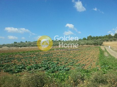 Οικόπεδο 5.000 τ.μ. για πώληση