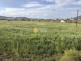 Οικόπεδο 10.300 τ.μ. για πώληση