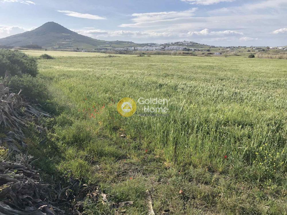 Οικόπεδο 10.300 τ.μ. προς πώληση, Κυκλάδες, Πάρος