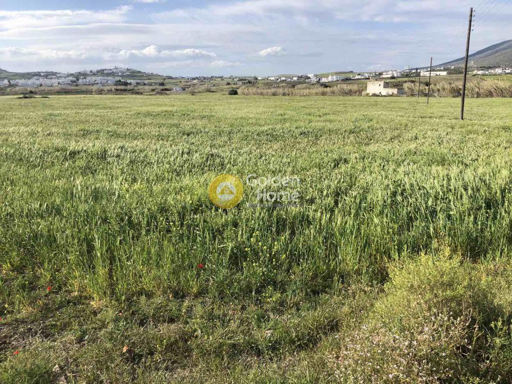 Οικόπεδο 10.300 τ.μ. προς πώληση, Κυκλάδες, Πάρος