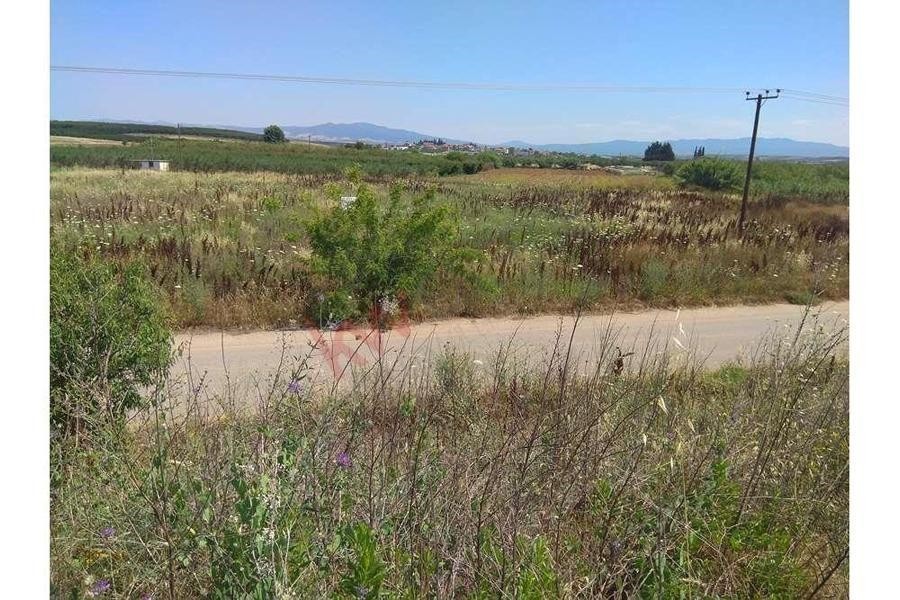 Αγροτεμάχια 6.500 τ.μ. προς πώληση, Διονυσίου