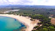 Land plot 22.000sqm for sale-Gargalianoi » Lagkouvardos