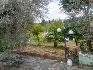Μονοκατοικία 110 τ.μ. για πώληση, Εύβοια, Δίρφυς-thumb-18