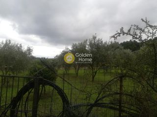 Μονοκατοικία 110 τ.μ. για πώληση, Εύβοια, Δίρφυς-thumb-23
