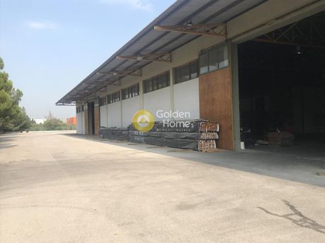Industrial space 4.000sqm for sale-Echedoros » Sindos