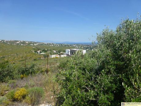 Οικόπεδο 1.322τ.μ. για πώληση-Πικέρμι