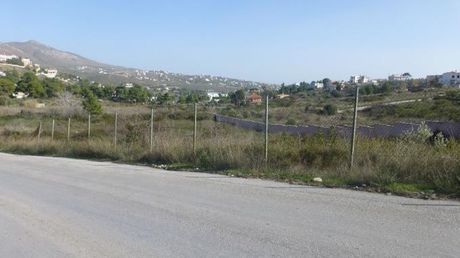 Αγροτεμάχια 4.007τ.μ. για πώληση-Παλλήνη
