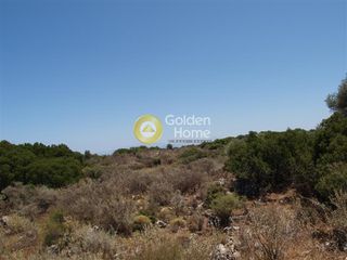 Αγροτεμάχια 6.000 τ.μ. για πώληση, Ν. Χανίων, Βάμος-thumb-1